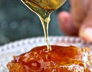 honey2